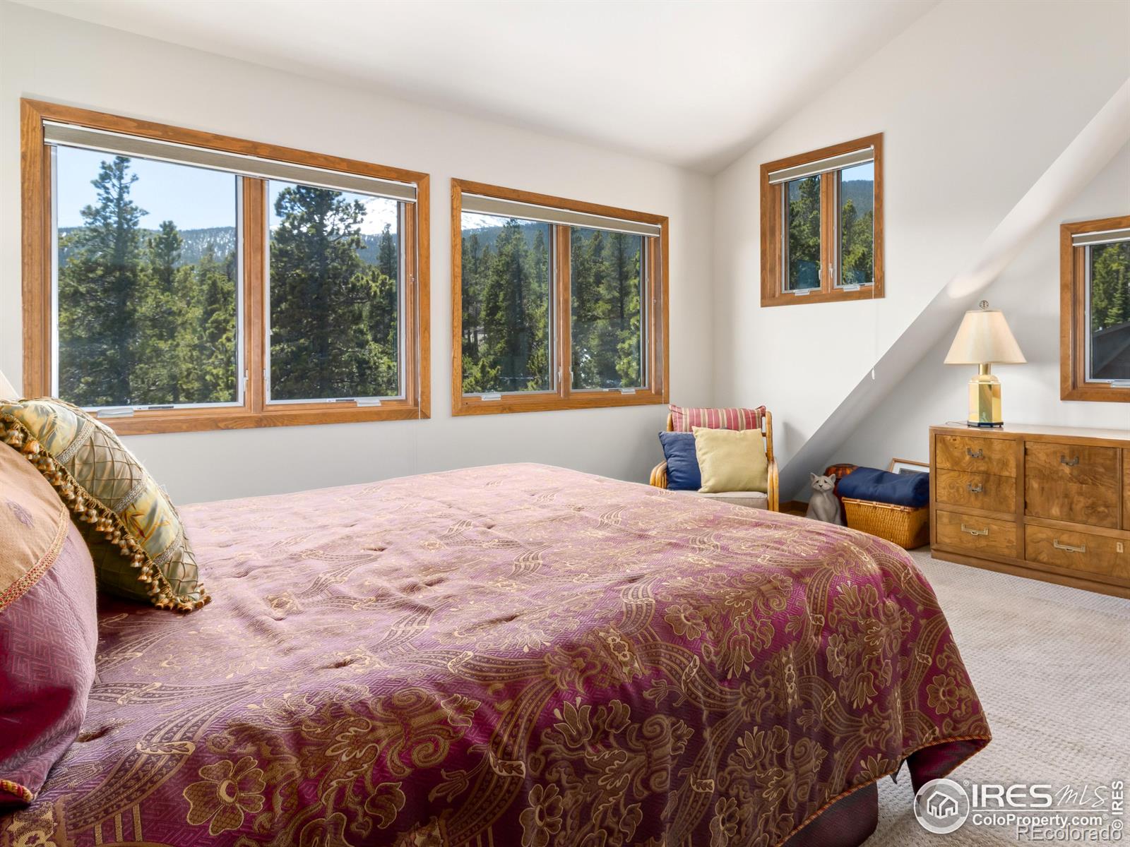 MLS Image #20 for 641  goblins castle road,estes park, Colorado