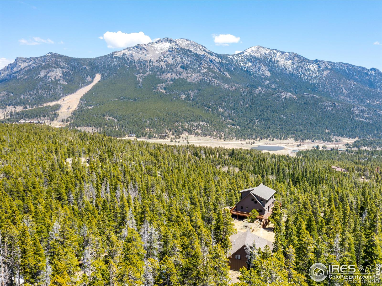 MLS Image #3 for 641  goblins castle road,estes park, Colorado