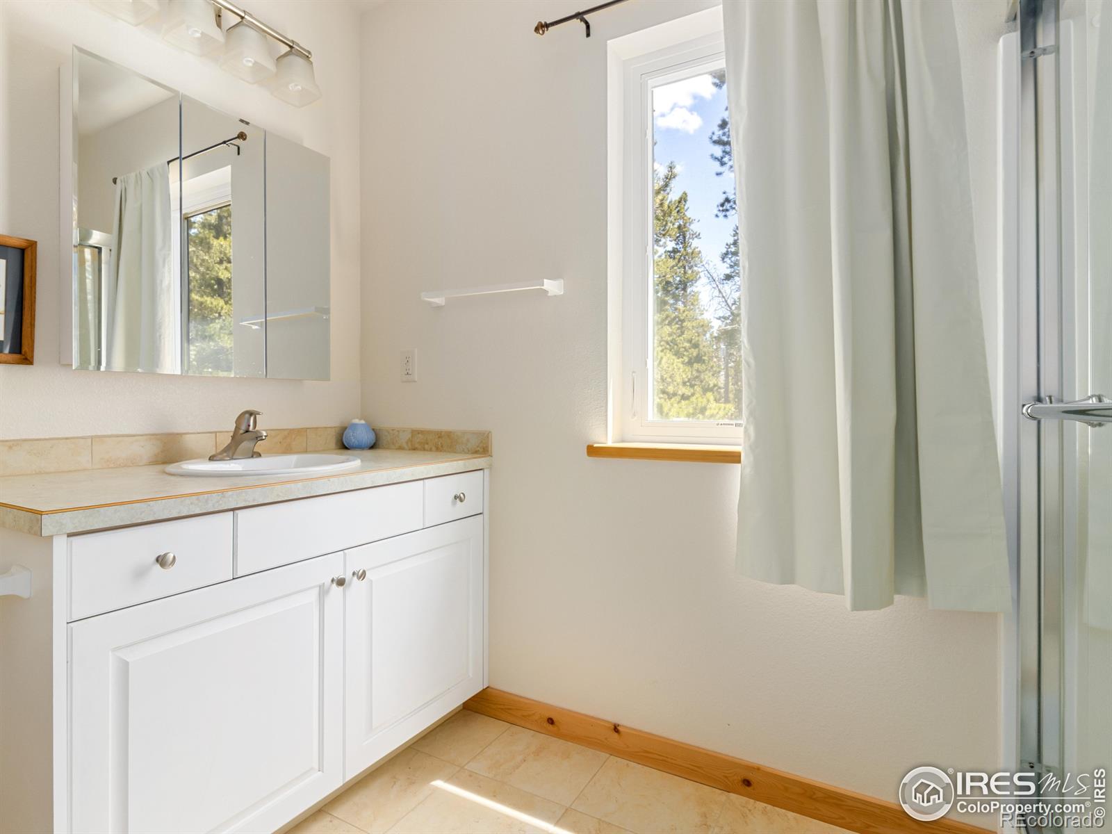 MLS Image #32 for 641  goblins castle road,estes park, Colorado