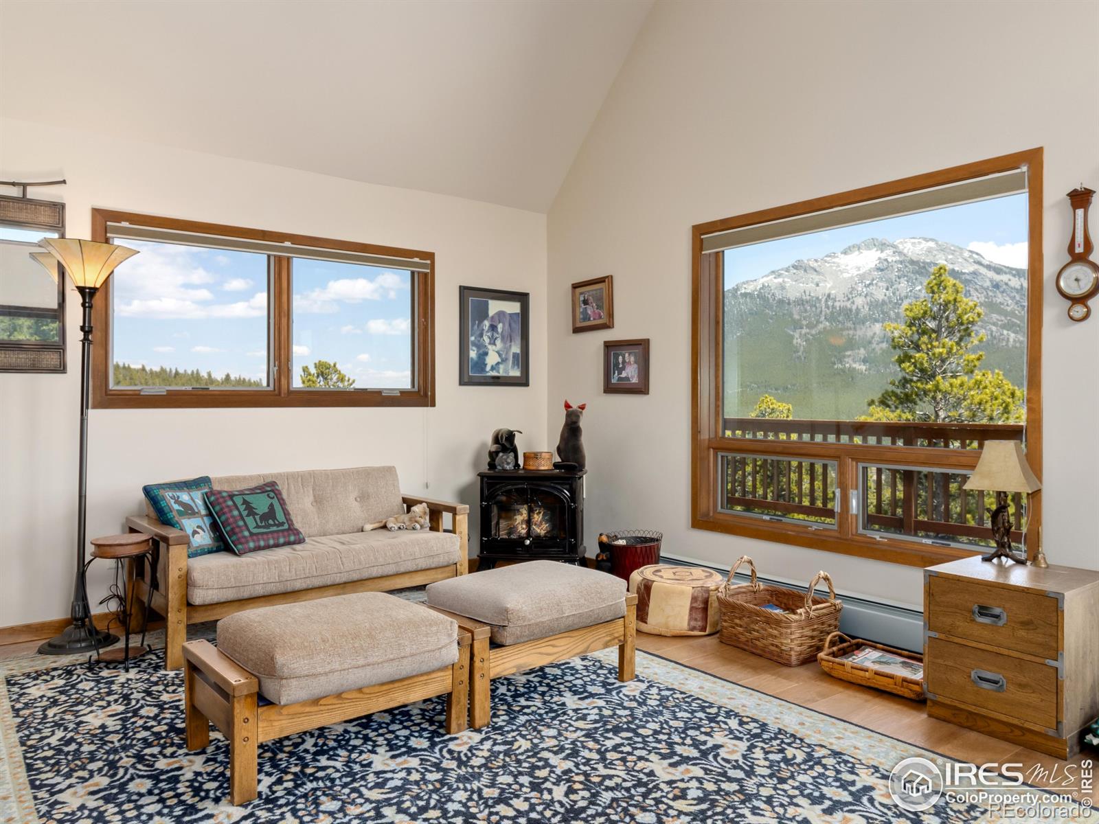 MLS Image #6 for 641  goblins castle road,estes park, Colorado