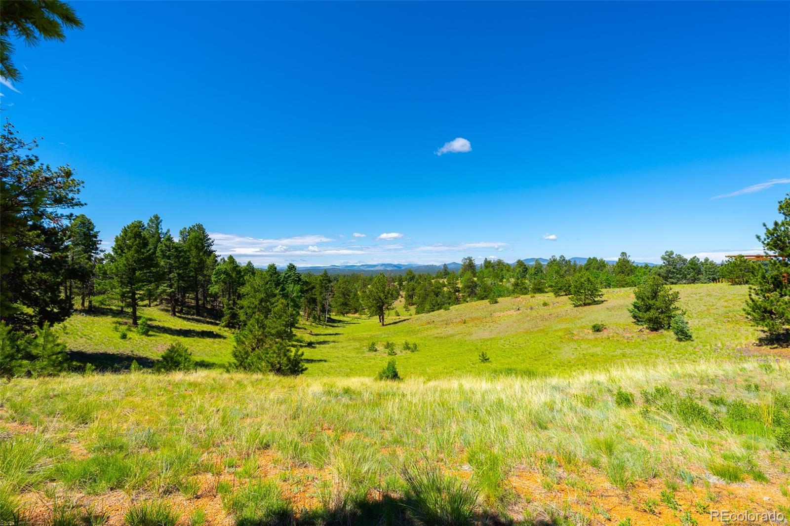 MLS Image #29 for 1400  lower twin rocks road ,florissant, Colorado