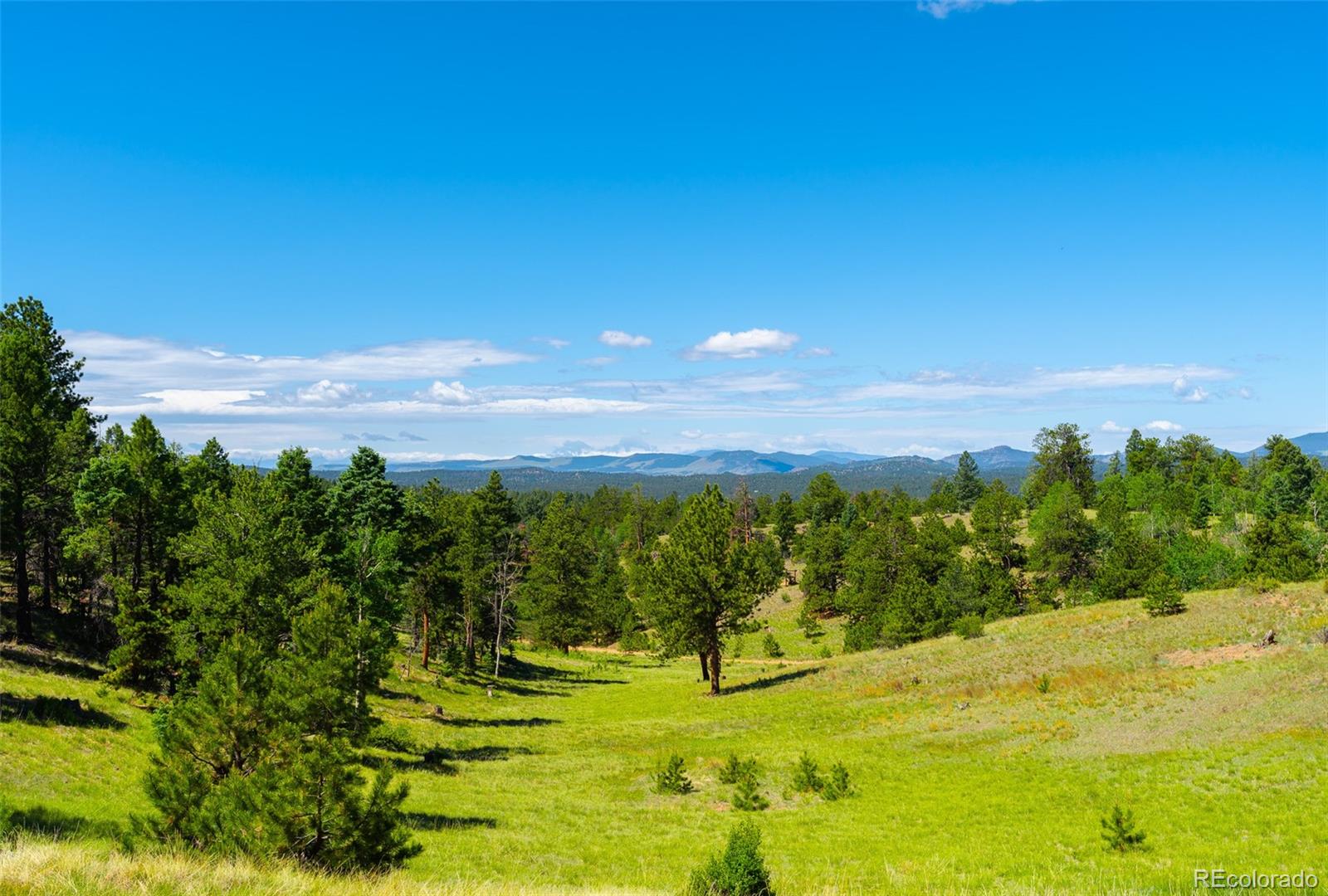 MLS Image #30 for 1400  lower twin rocks road ,florissant, Colorado