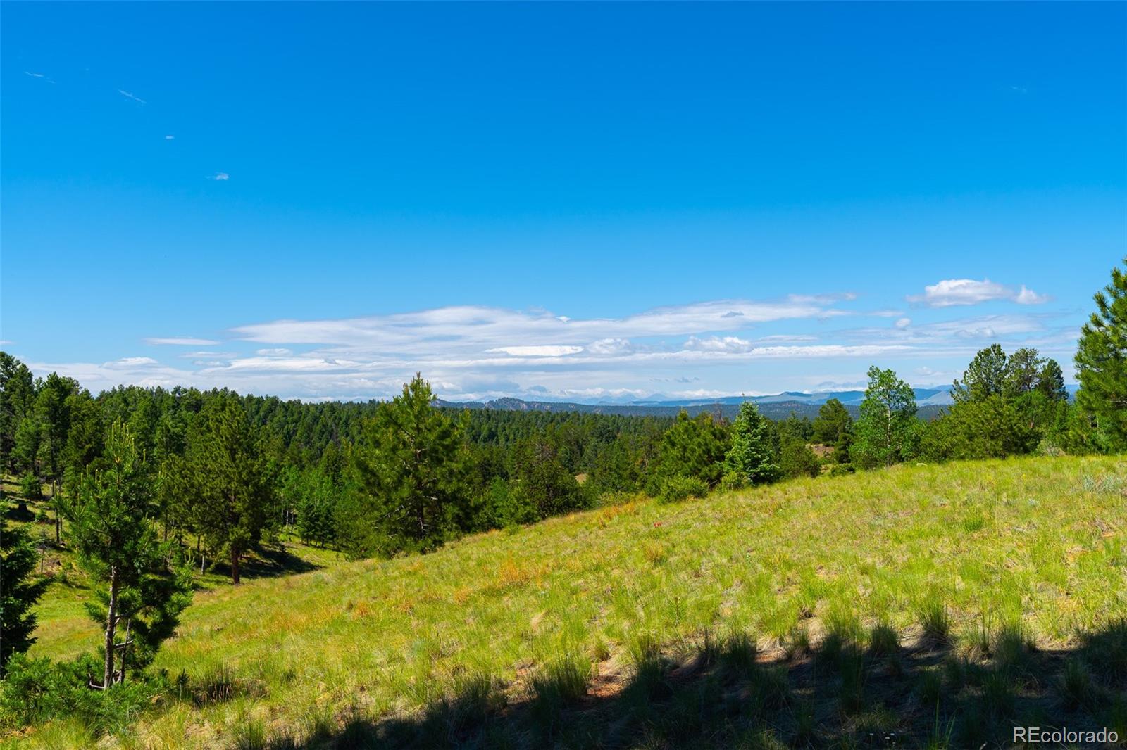 MLS Image #31 for 1400  lower twin rocks road ,florissant, Colorado