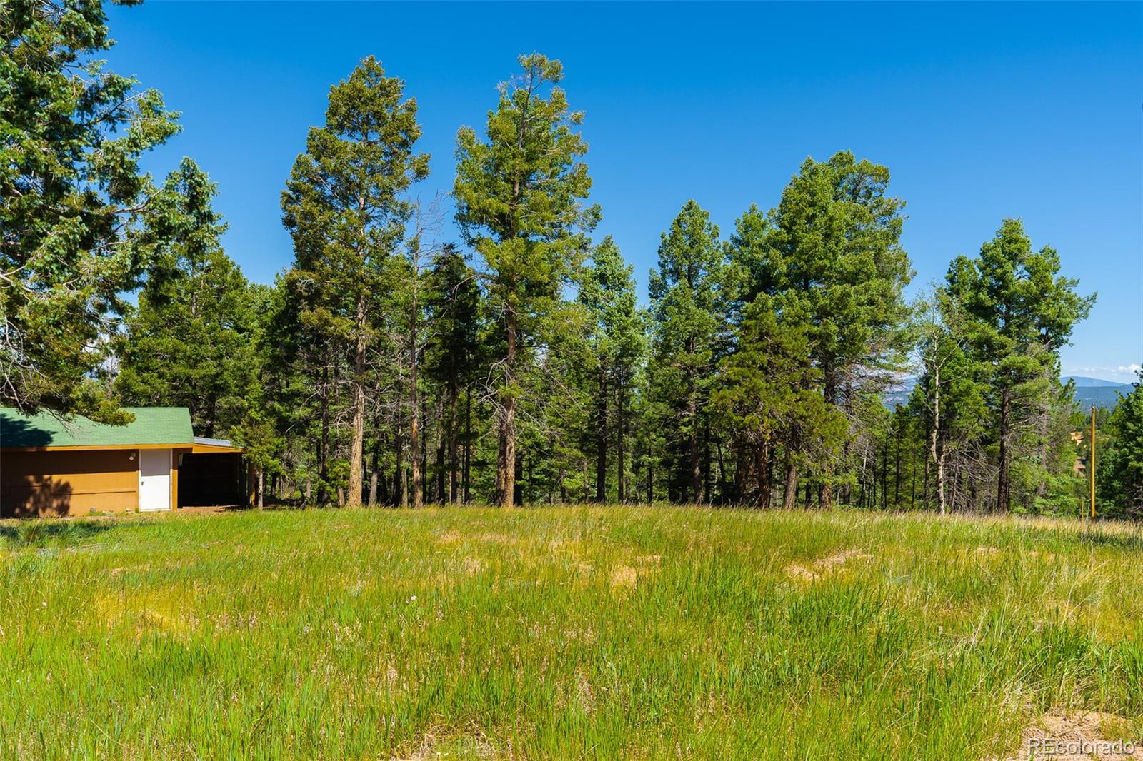 MLS Image #32 for 1400  lower twin rocks road ,florissant, Colorado