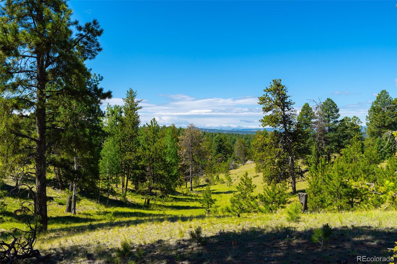 MLS Image #34 for 1400  lower twin rocks road ,florissant, Colorado