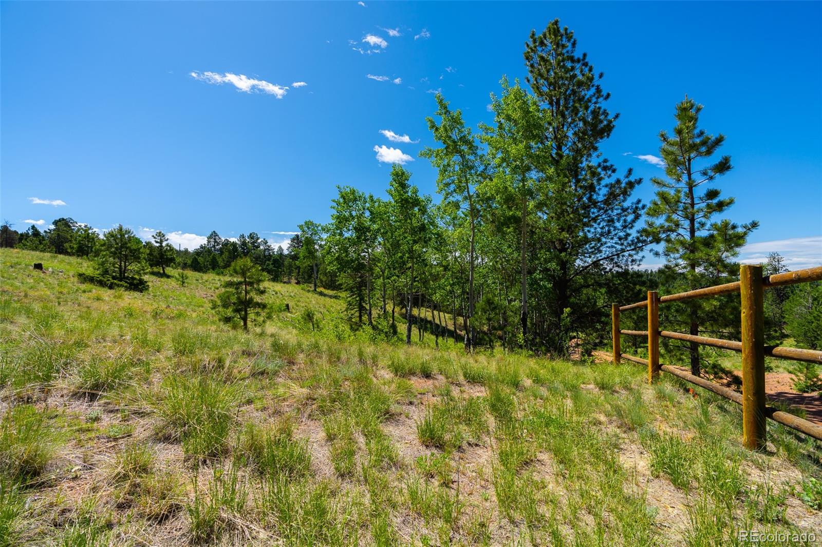 MLS Image #35 for 1400  lower twin rocks road ,florissant, Colorado