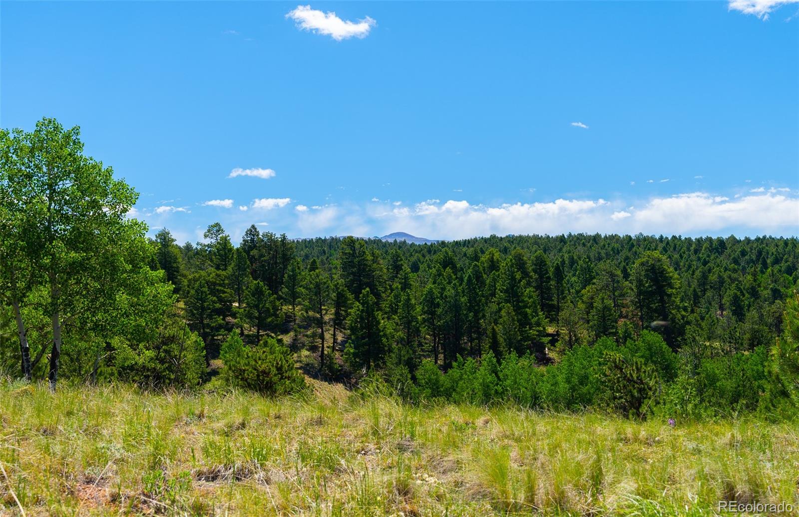 MLS Image #36 for 1400  lower twin rocks road ,florissant, Colorado