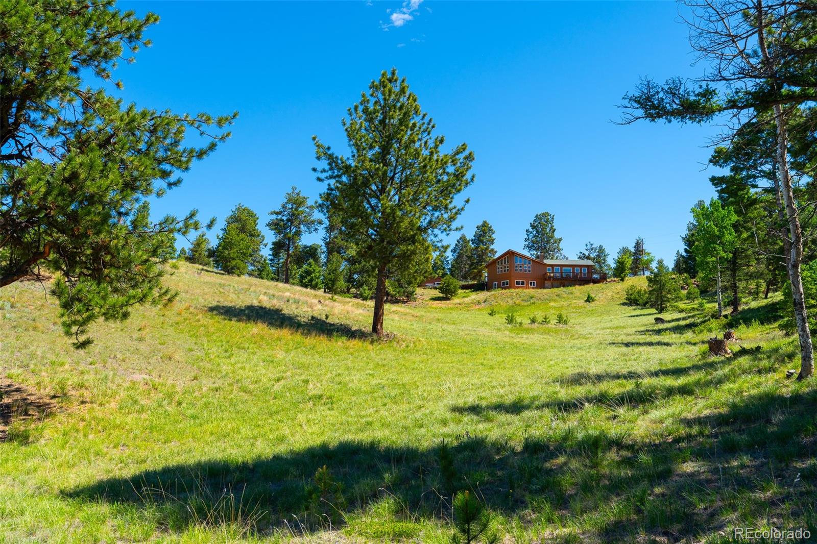 MLS Image #37 for 1400  lower twin rocks road ,florissant, Colorado