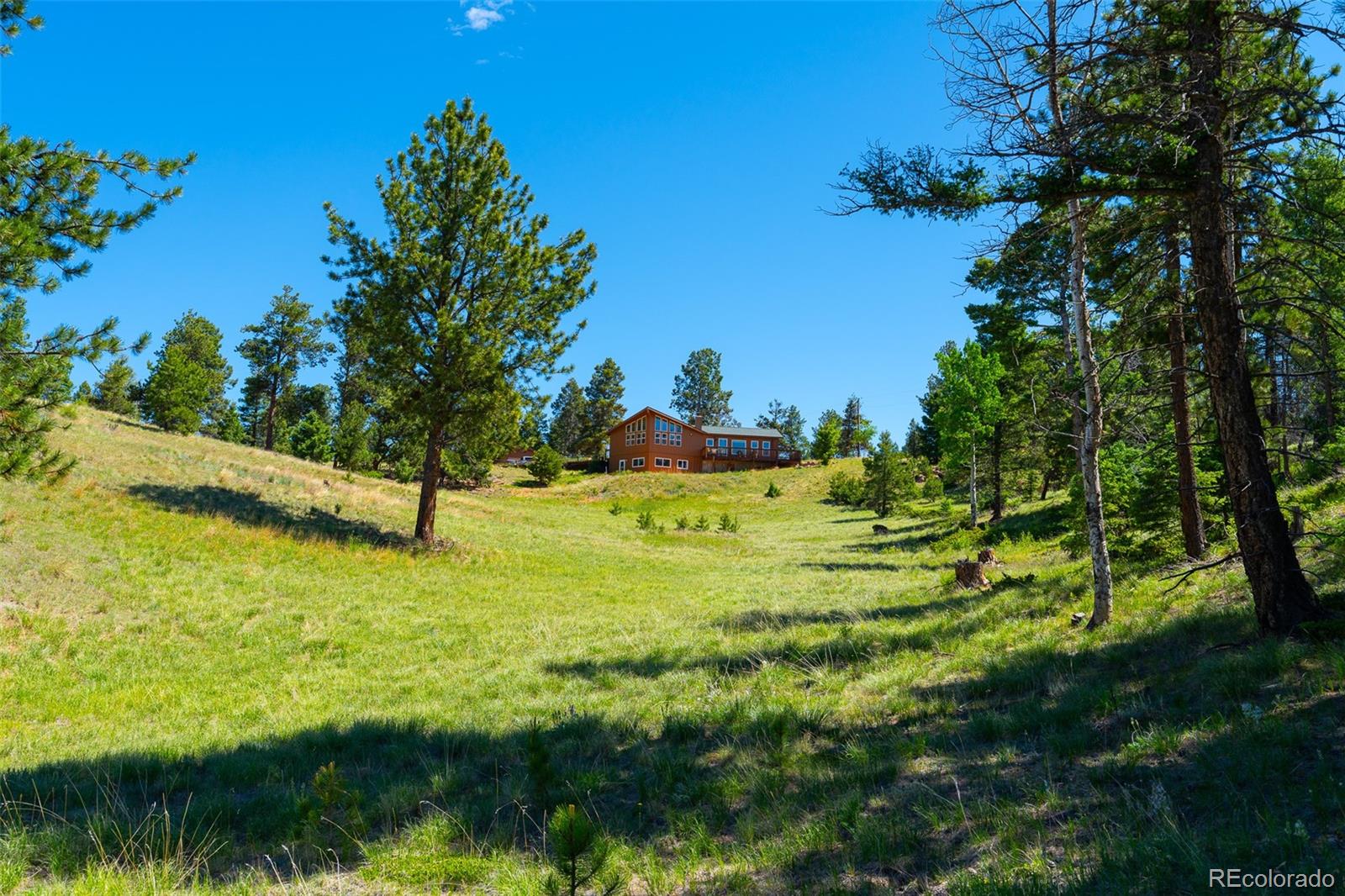 MLS Image #38 for 1400  lower twin rocks road ,florissant, Colorado