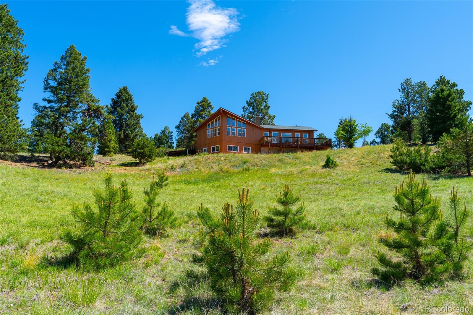 MLS Image #39 for 1400  lower twin rocks road ,florissant, Colorado