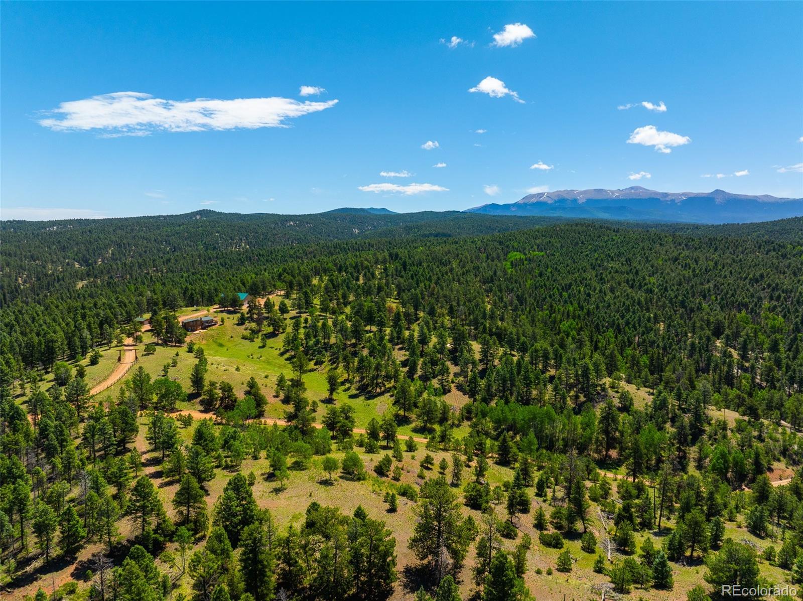 MLS Image #4 for 1400  lower twin rocks road ,florissant, Colorado