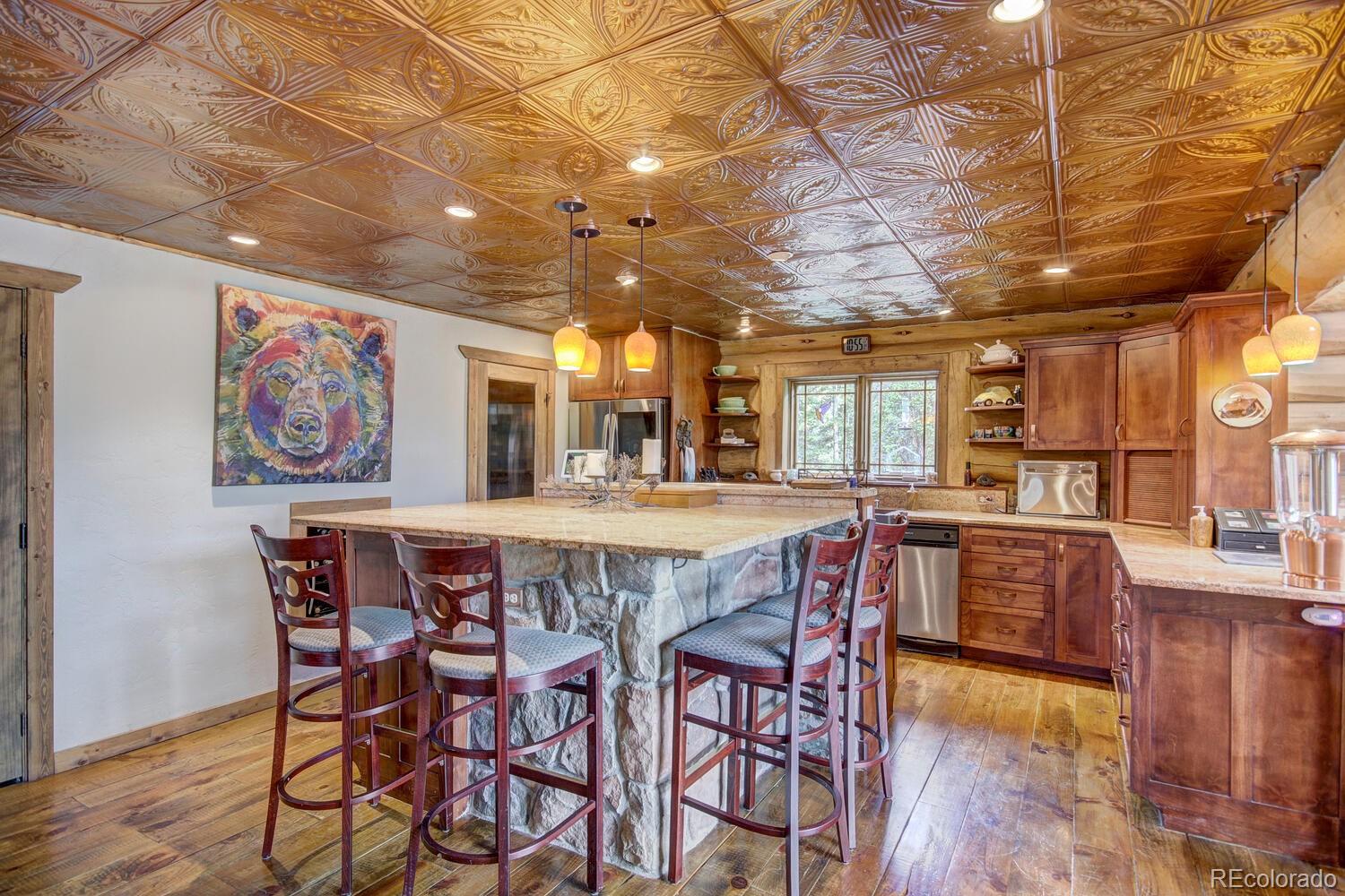 MLS Image #14 for 1198  kootchie kootchie road,alma, Colorado