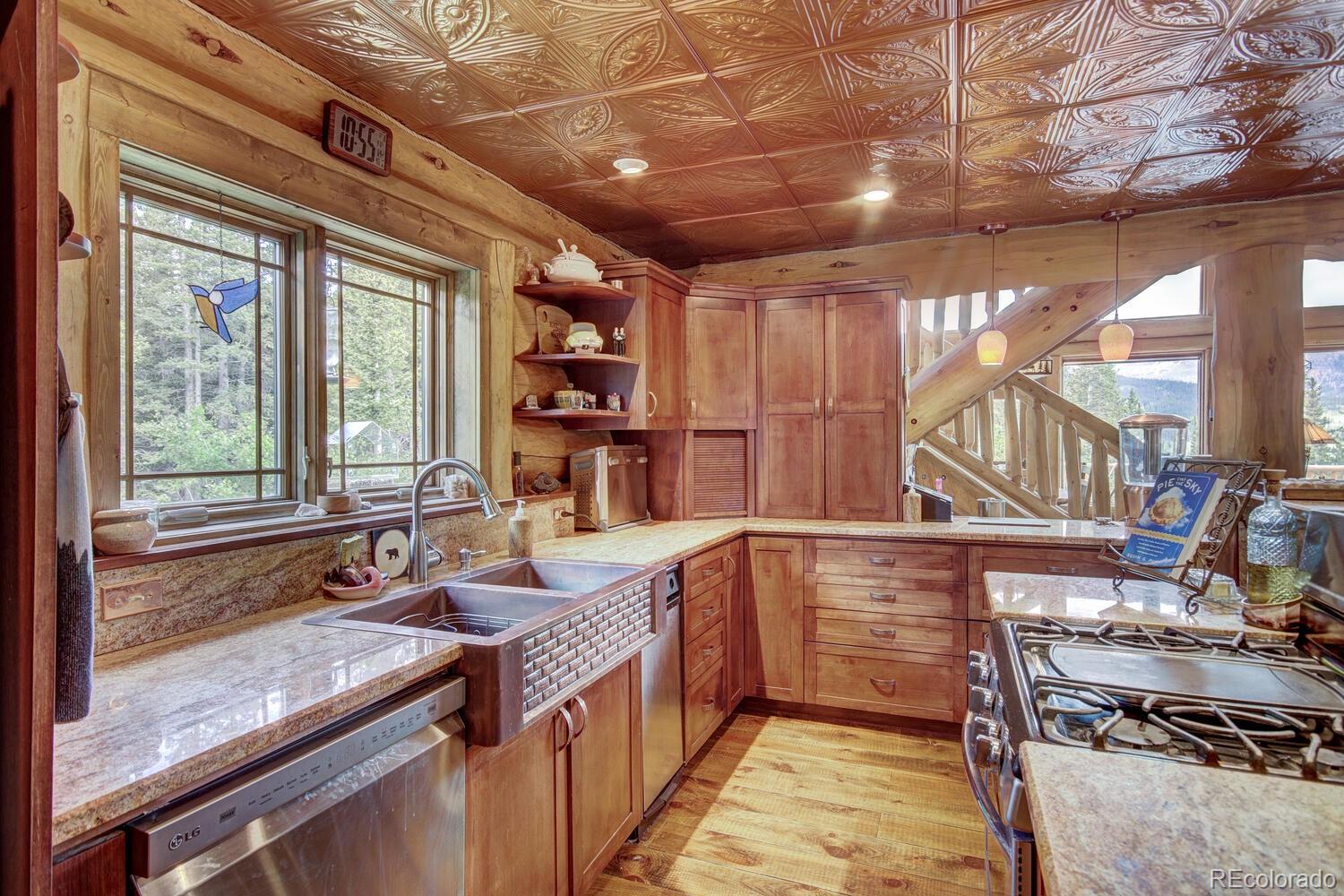 MLS Image #15 for 1198  kootchie kootchie road,alma, Colorado