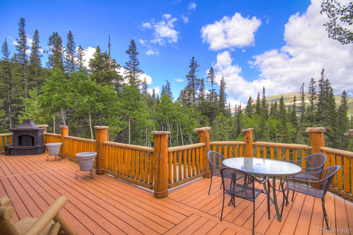 MLS Image #19 for 1198  kootchie kootchie road,alma, Colorado