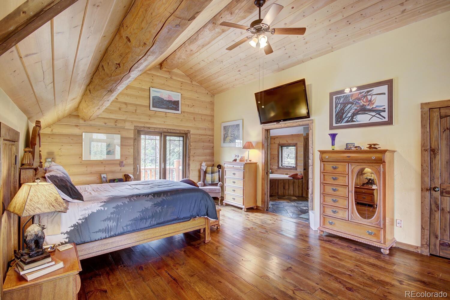 MLS Image #22 for 1198  kootchie kootchie road,alma, Colorado