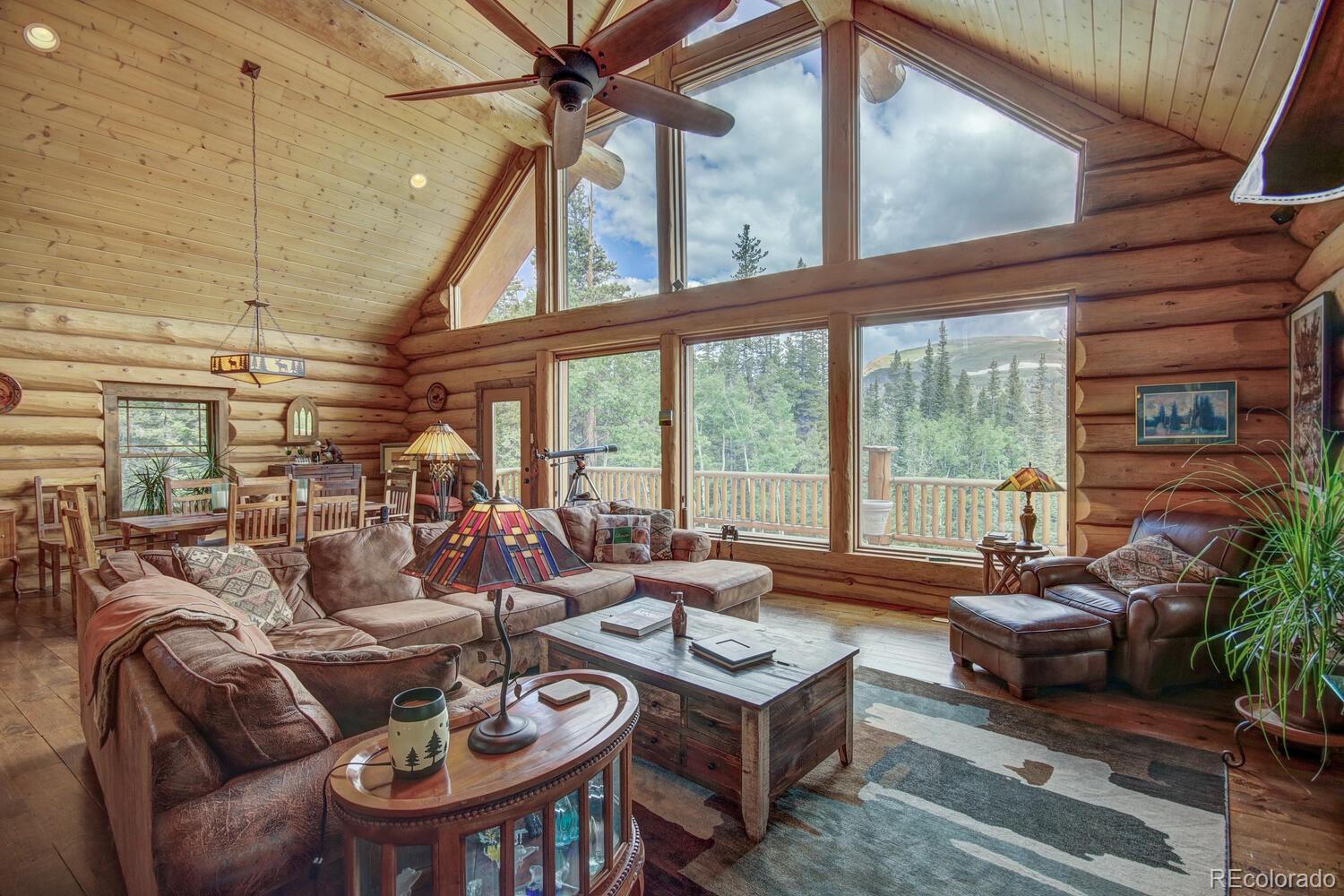 MLS Image #3 for 1198  kootchie kootchie road,alma, Colorado