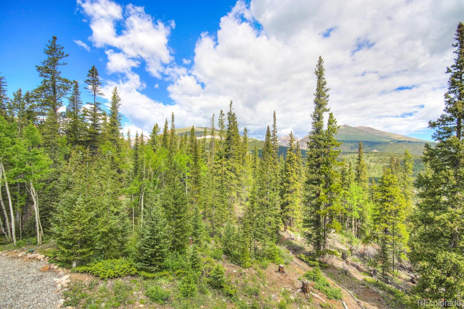 MLS Image #40 for 1198  kootchie kootchie road,alma, Colorado