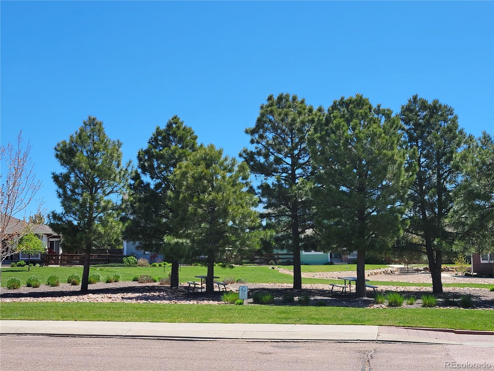 MLS Image #38 for 16826  buffalo valley path,monument, Colorado