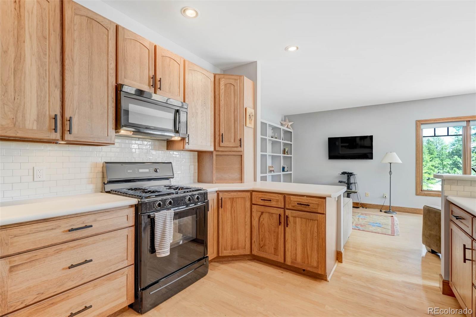 MLS Image #13 for 117  badger circle,guffey, Colorado