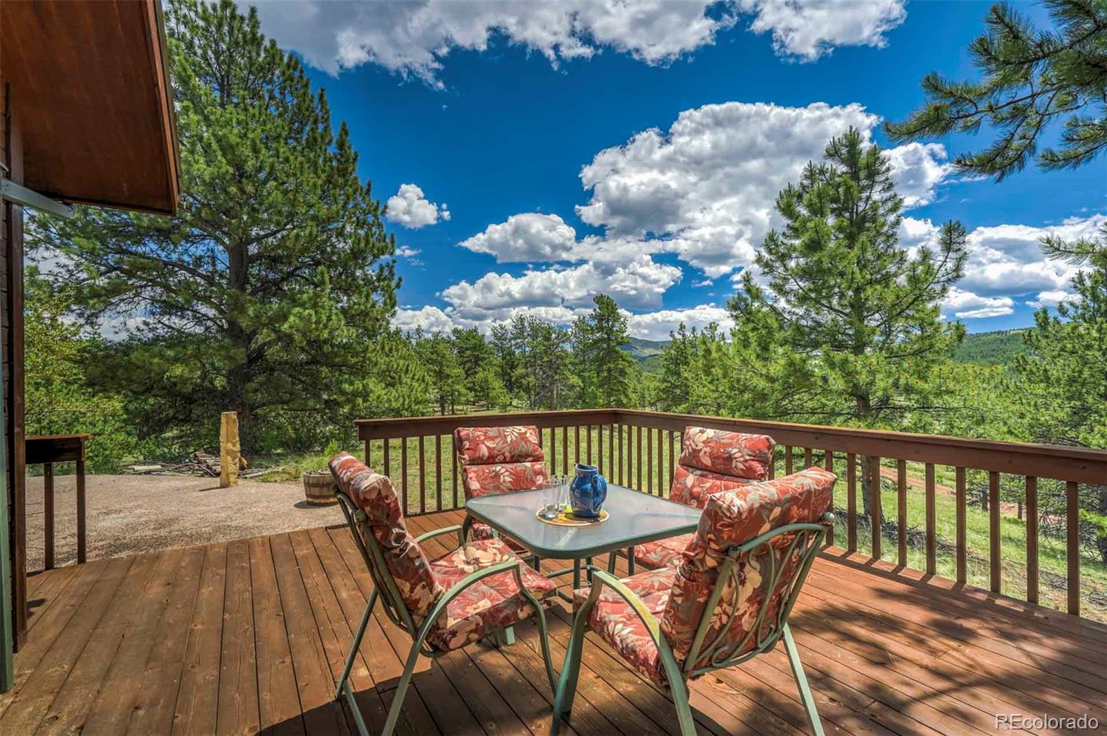 MLS Image #18 for 117  badger circle,guffey, Colorado