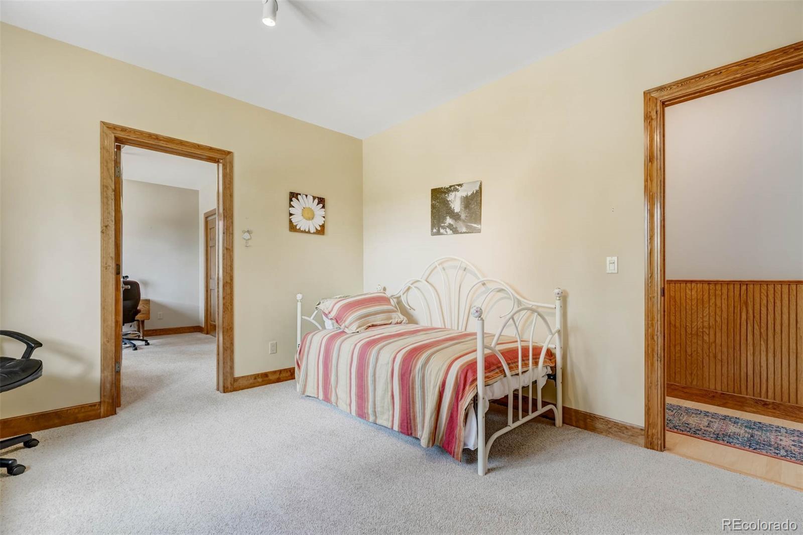 MLS Image #36 for 117  badger circle,guffey, Colorado