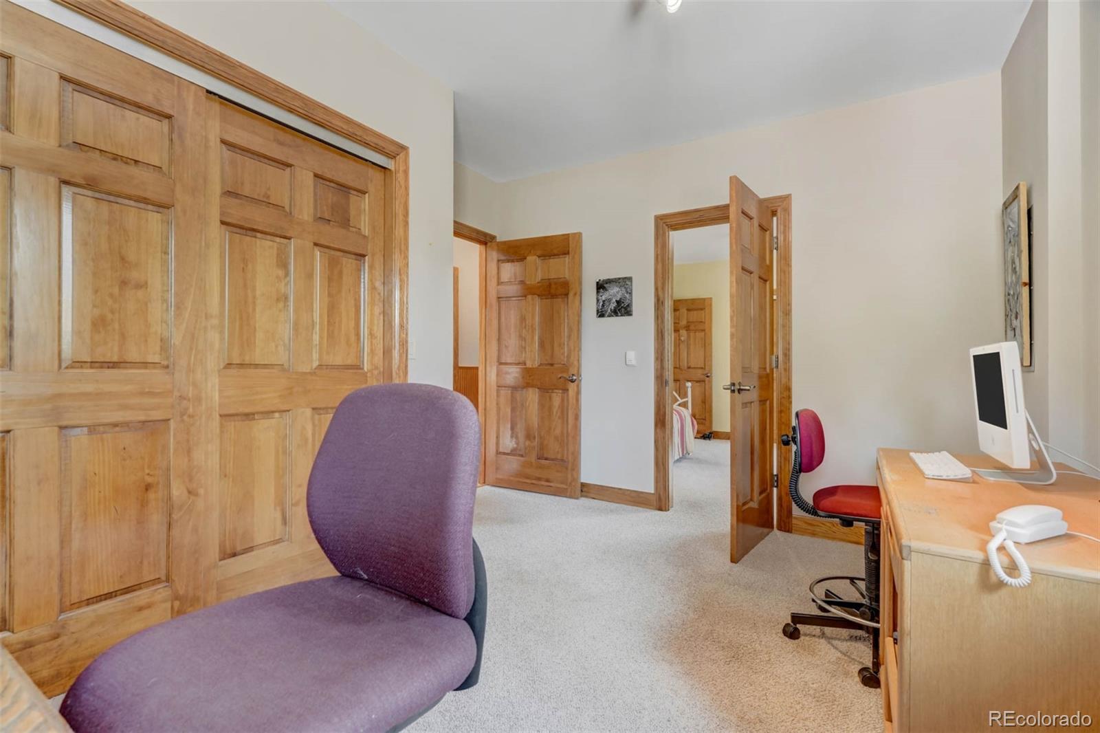 MLS Image #38 for 117  badger circle,guffey, Colorado