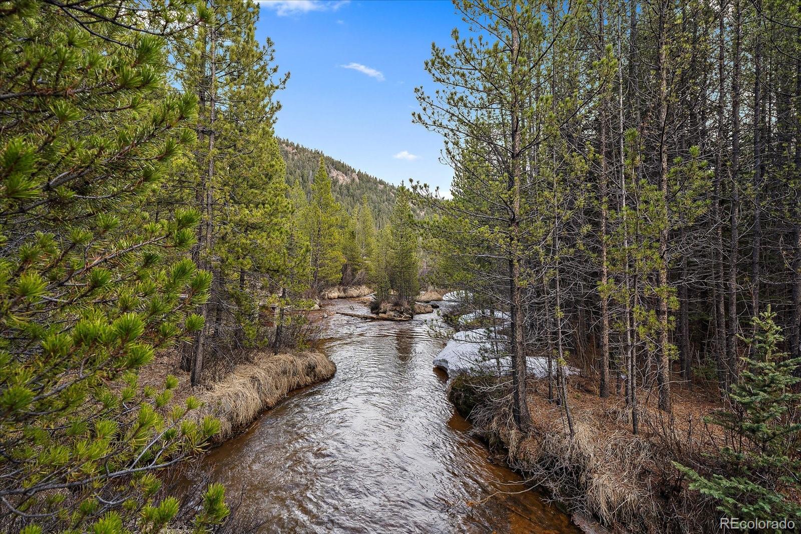 MLS Image #0 for 3568  county road 60 ,grant, Colorado