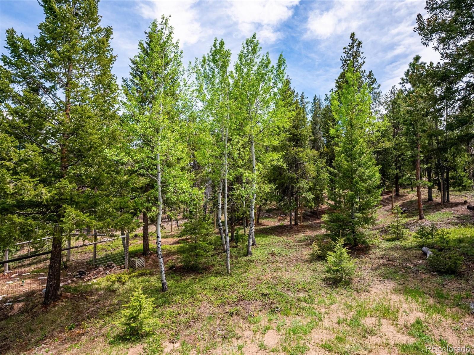 MLS Image #31 for 9390 s warhawk road,conifer, Colorado