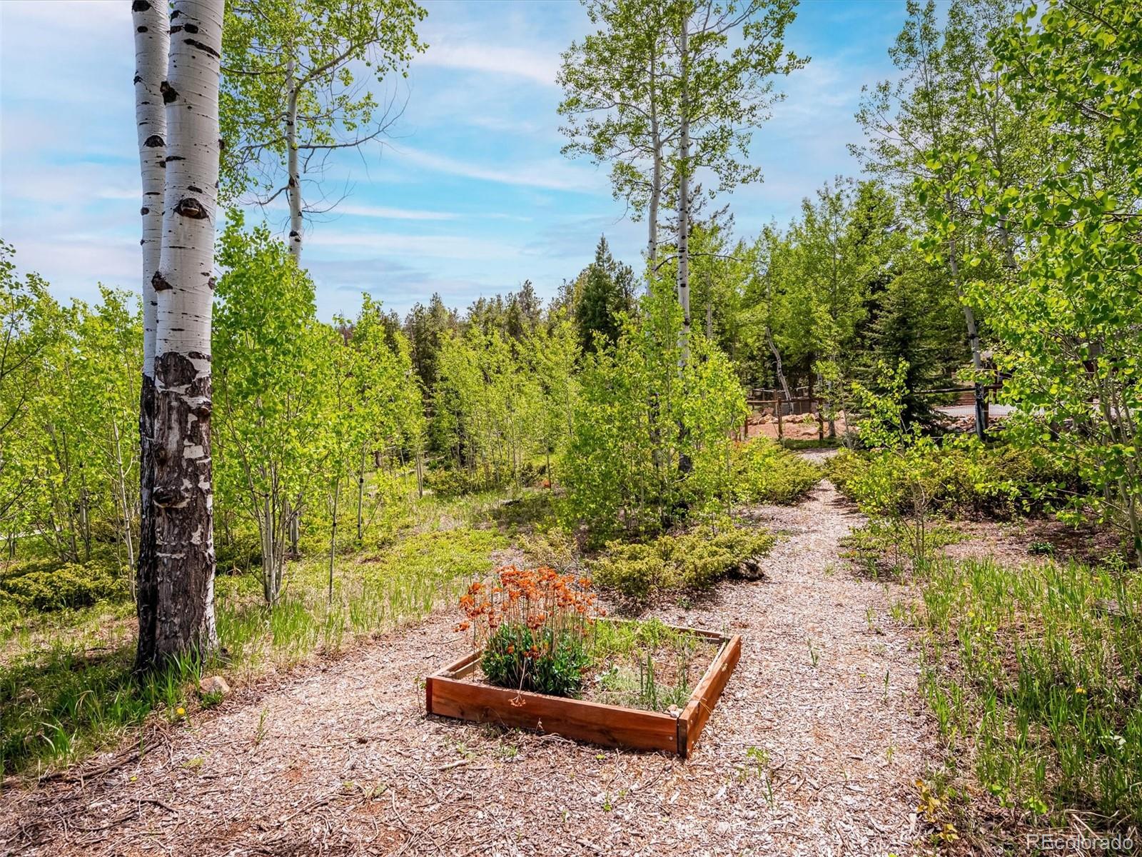 MLS Image #35 for 9390 s warhawk road,conifer, Colorado