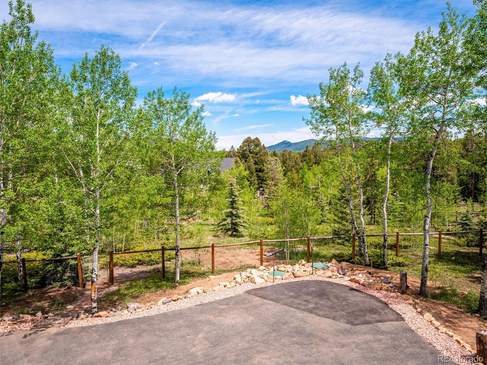 MLS Image #5 for 9390 s warhawk road,conifer, Colorado