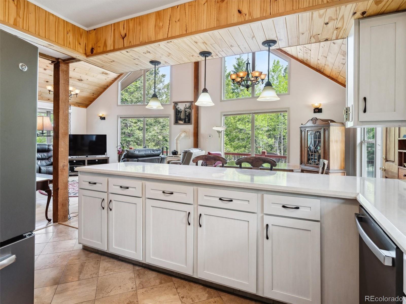 MLS Image #7 for 9390 s warhawk road,conifer, Colorado