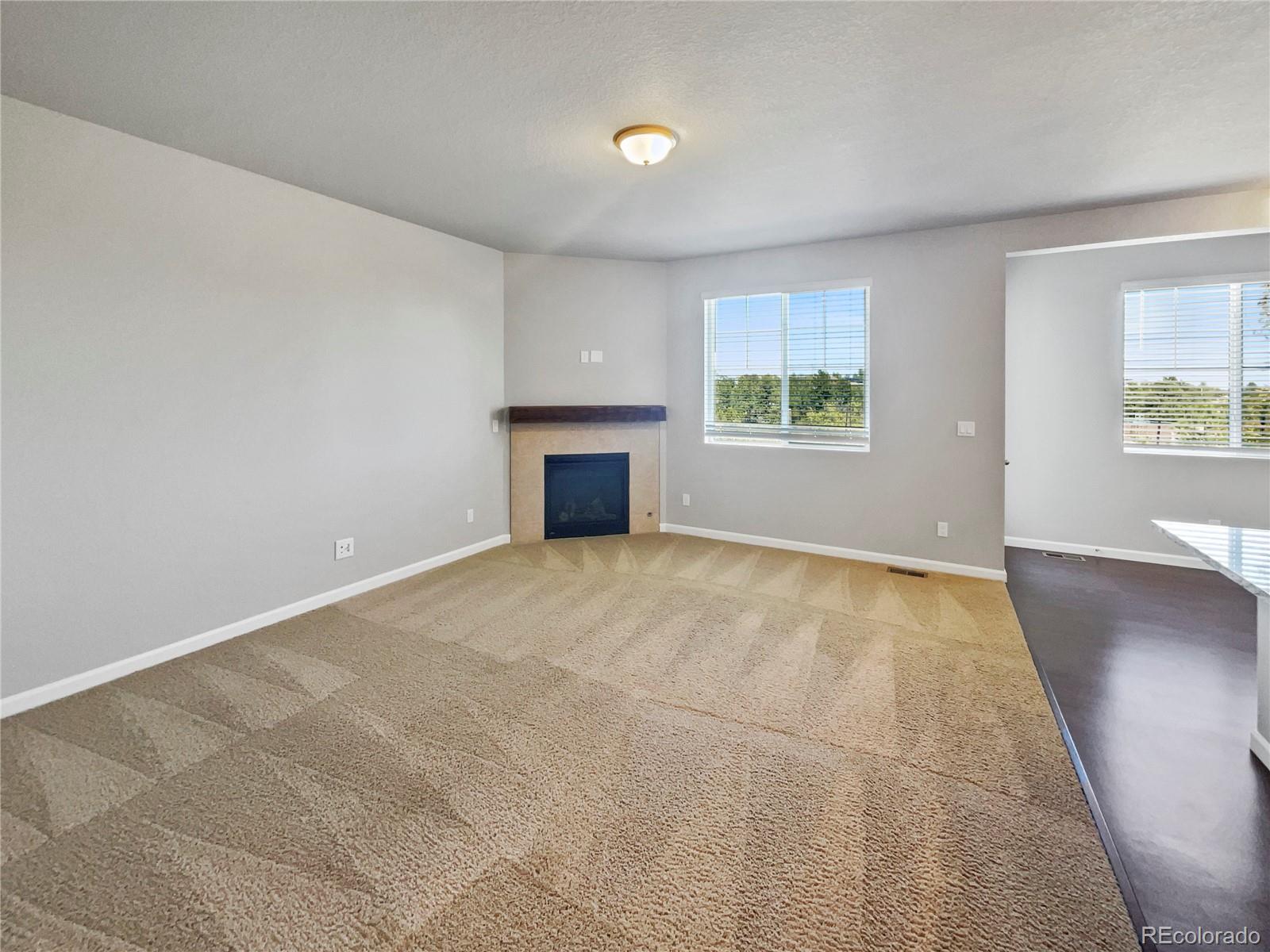 MLS Image #3 for 5922  still meadow place,castle rock, Colorado