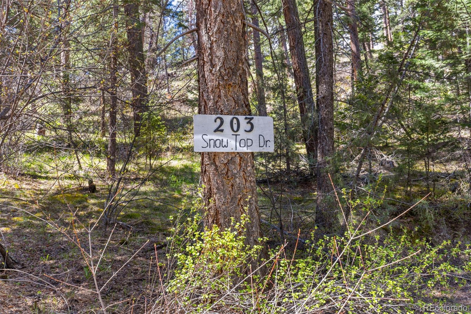 MLS Image #2 for 203  snow top drive,drake, Colorado