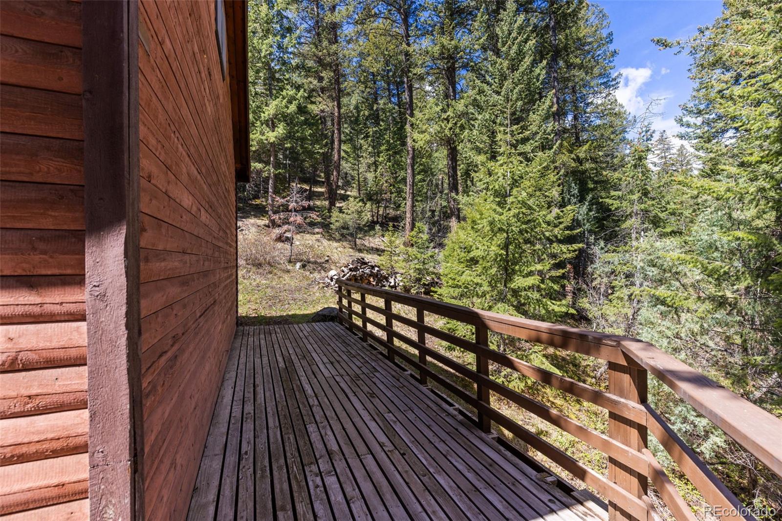 MLS Image #21 for 203  snow top drive,drake, Colorado