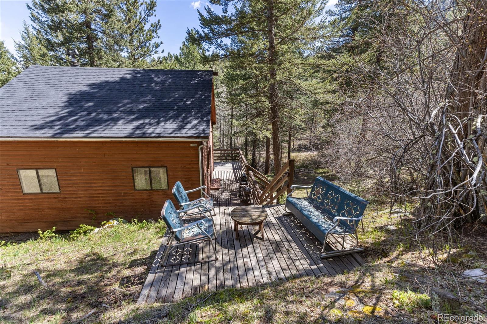 MLS Image #22 for 203  snow top drive,drake, Colorado