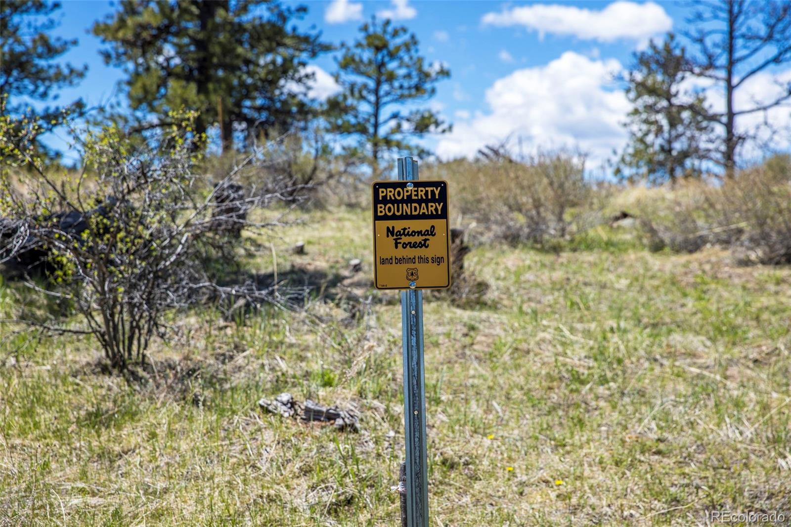 MLS Image #30 for 203  snow top drive,drake, Colorado