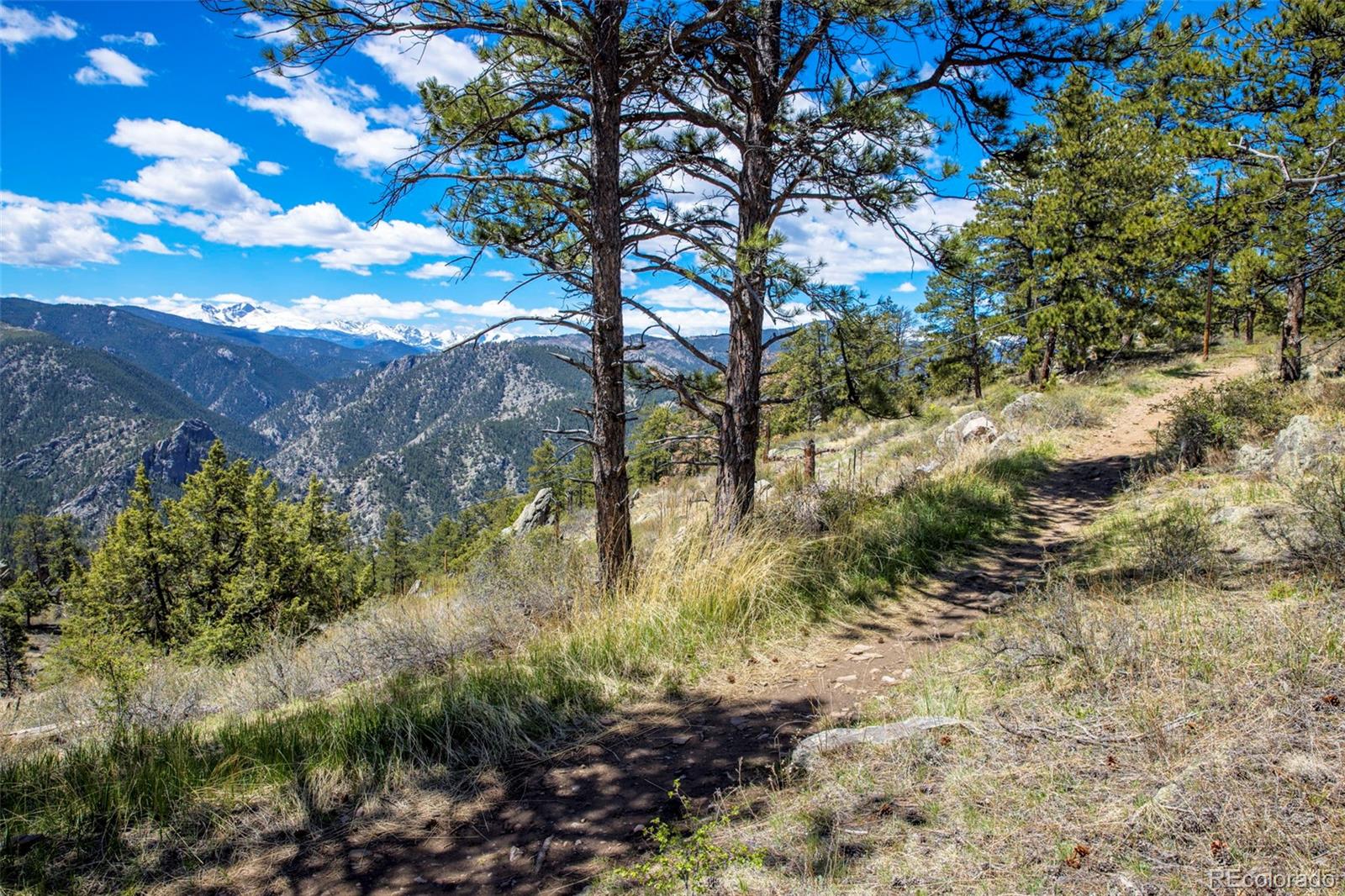 MLS Image #31 for 203  snow top drive,drake, Colorado