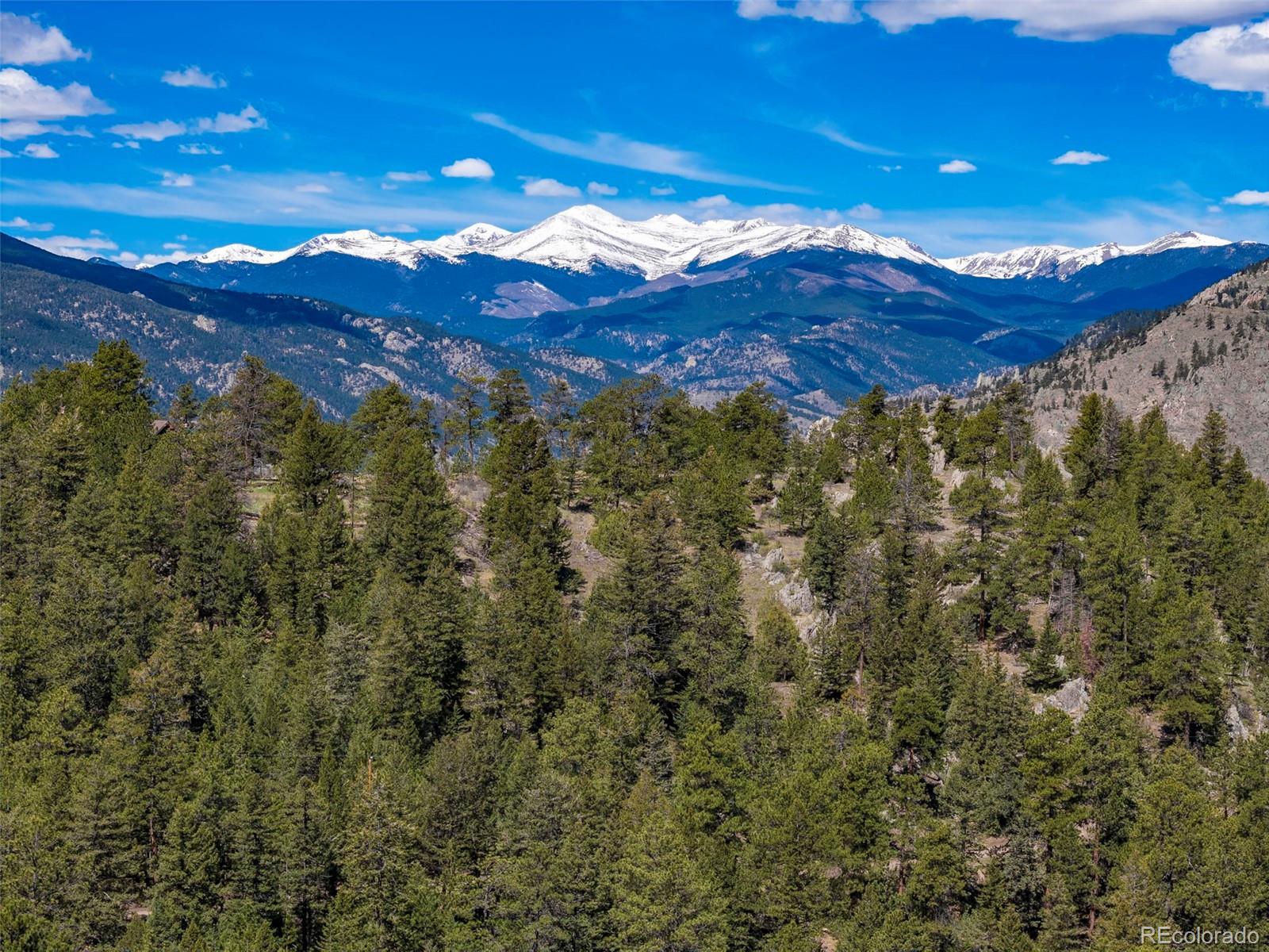 MLS Image #33 for 203  snow top drive,drake, Colorado