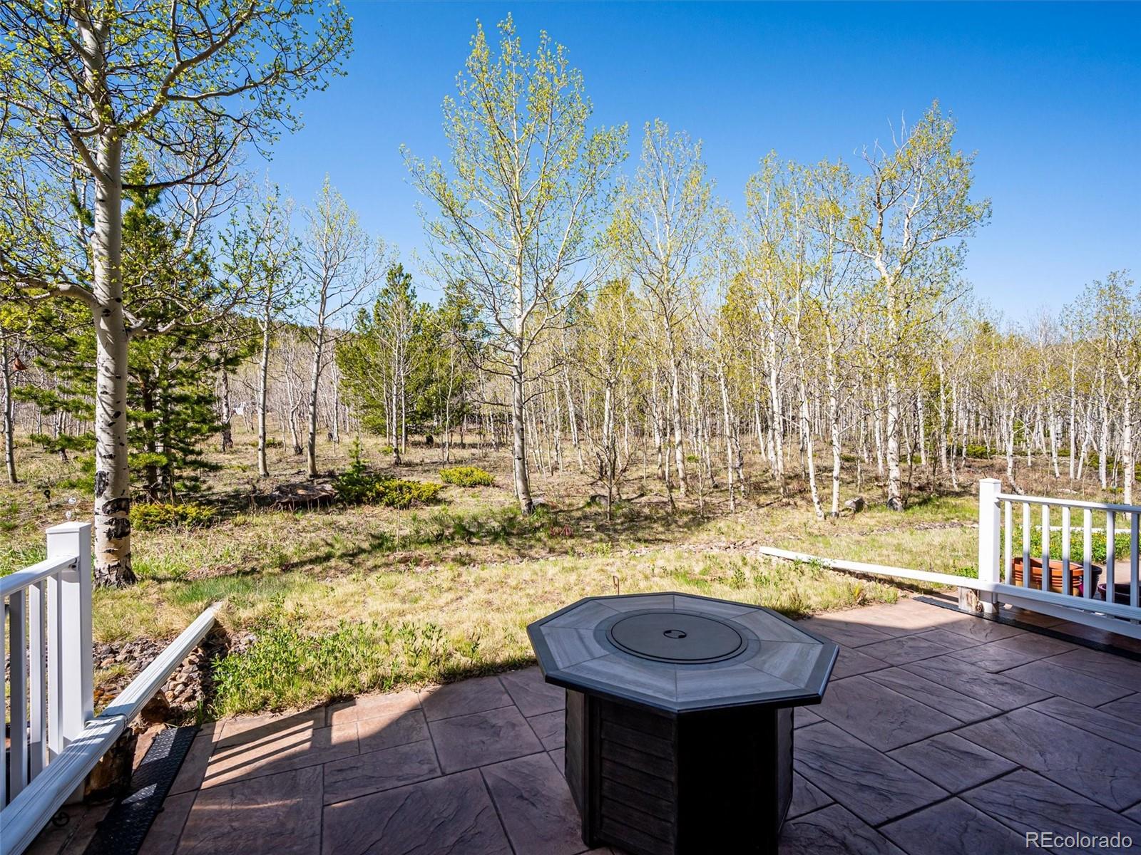 MLS Image #22 for 869 n vernon drive,central city, Colorado