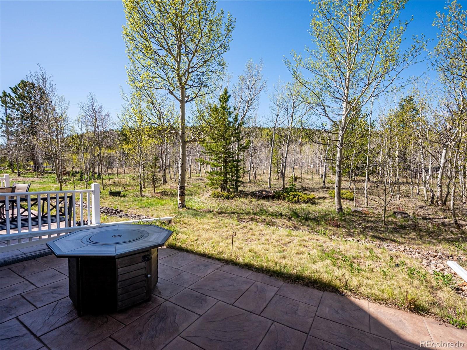 MLS Image #23 for 869 n vernon drive,central city, Colorado