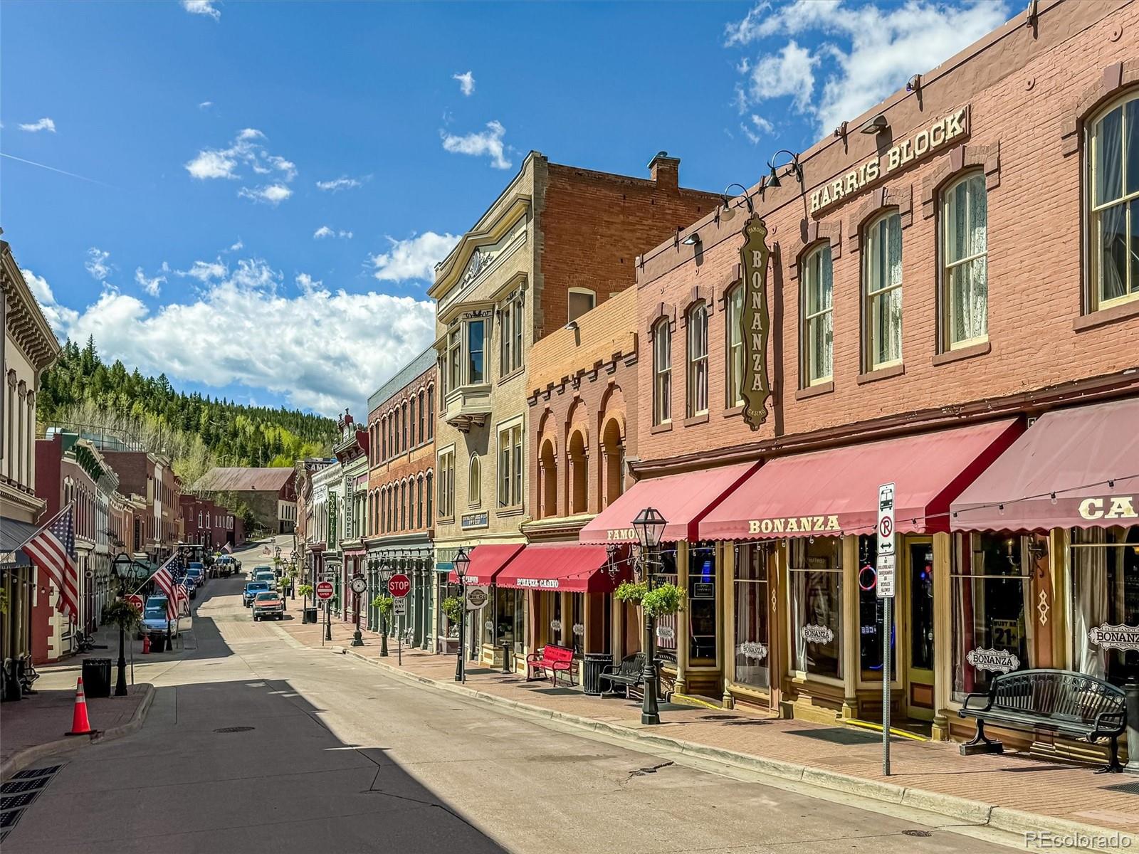 MLS Image #34 for 869 n vernon drive,central city, Colorado