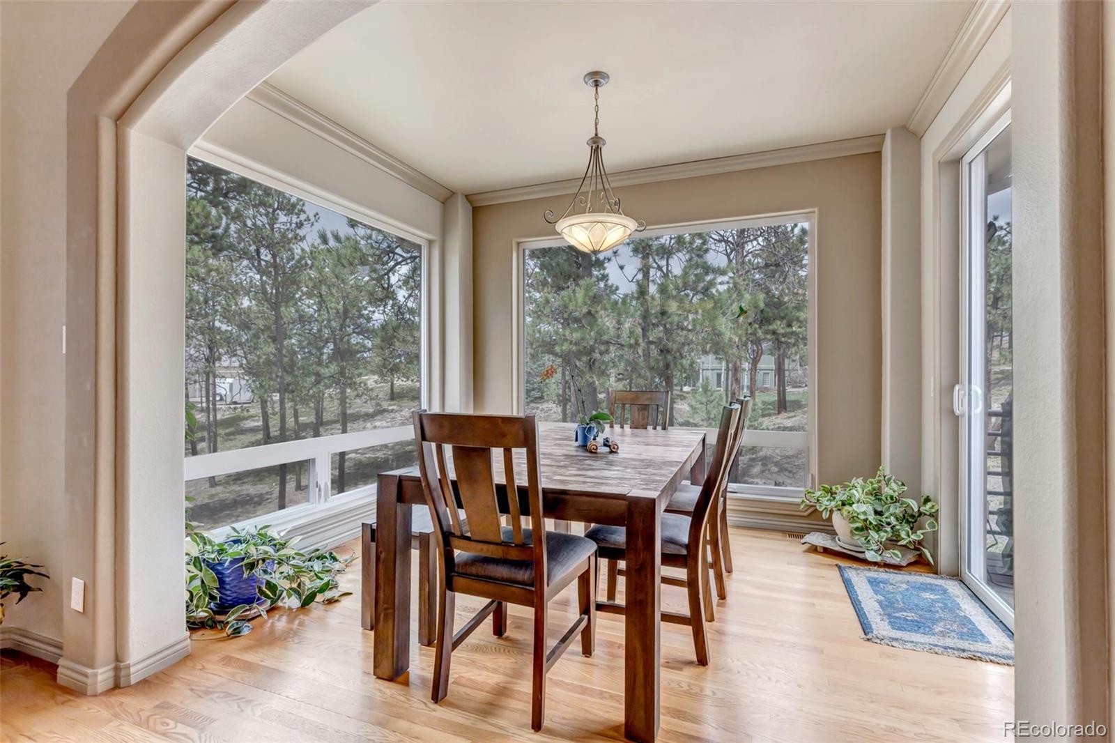 MLS Image #10 for 1136  carnahan court,monument, Colorado