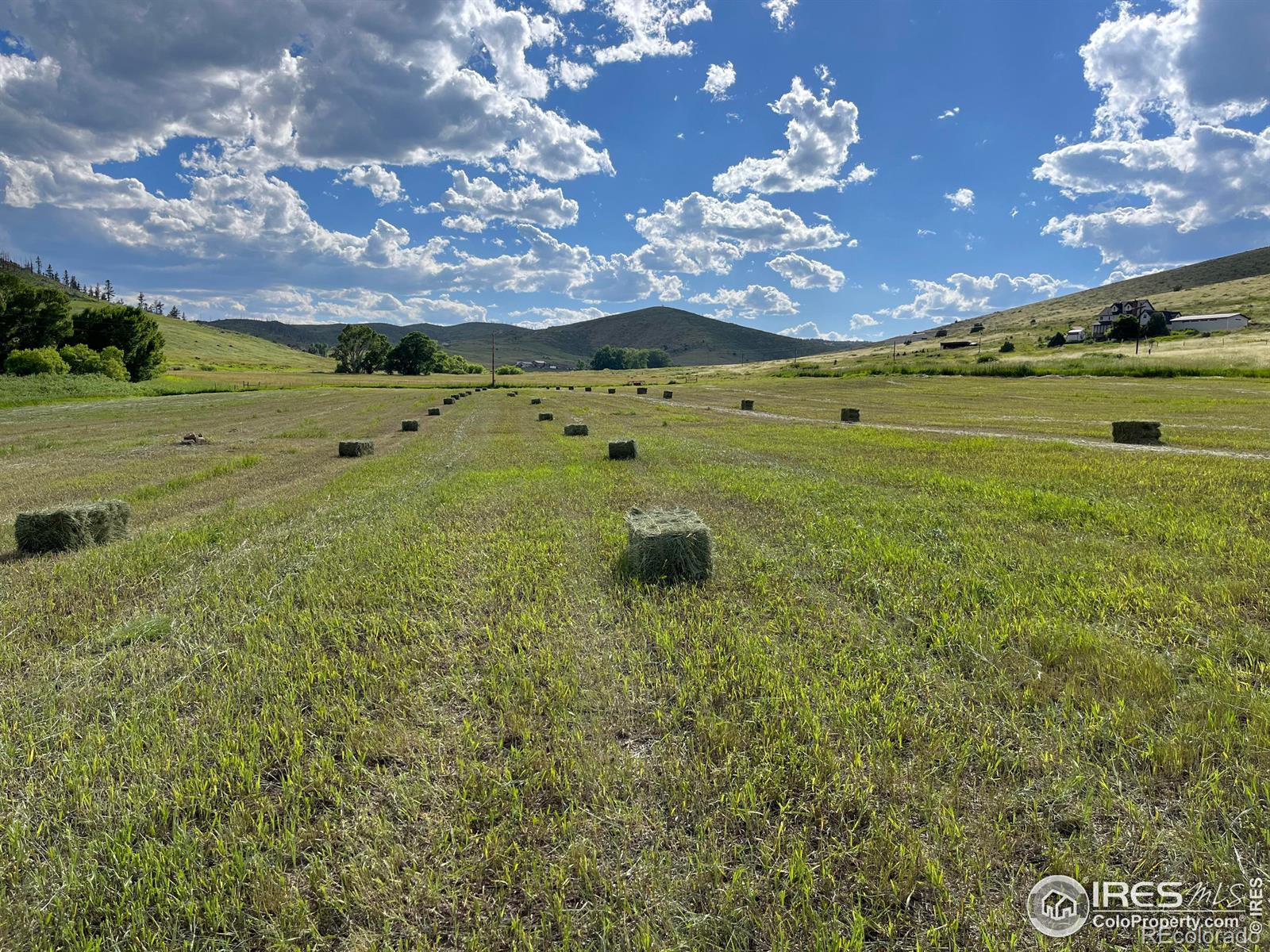 MLS Image #32 for 986  deer meadow way,livermore, Colorado