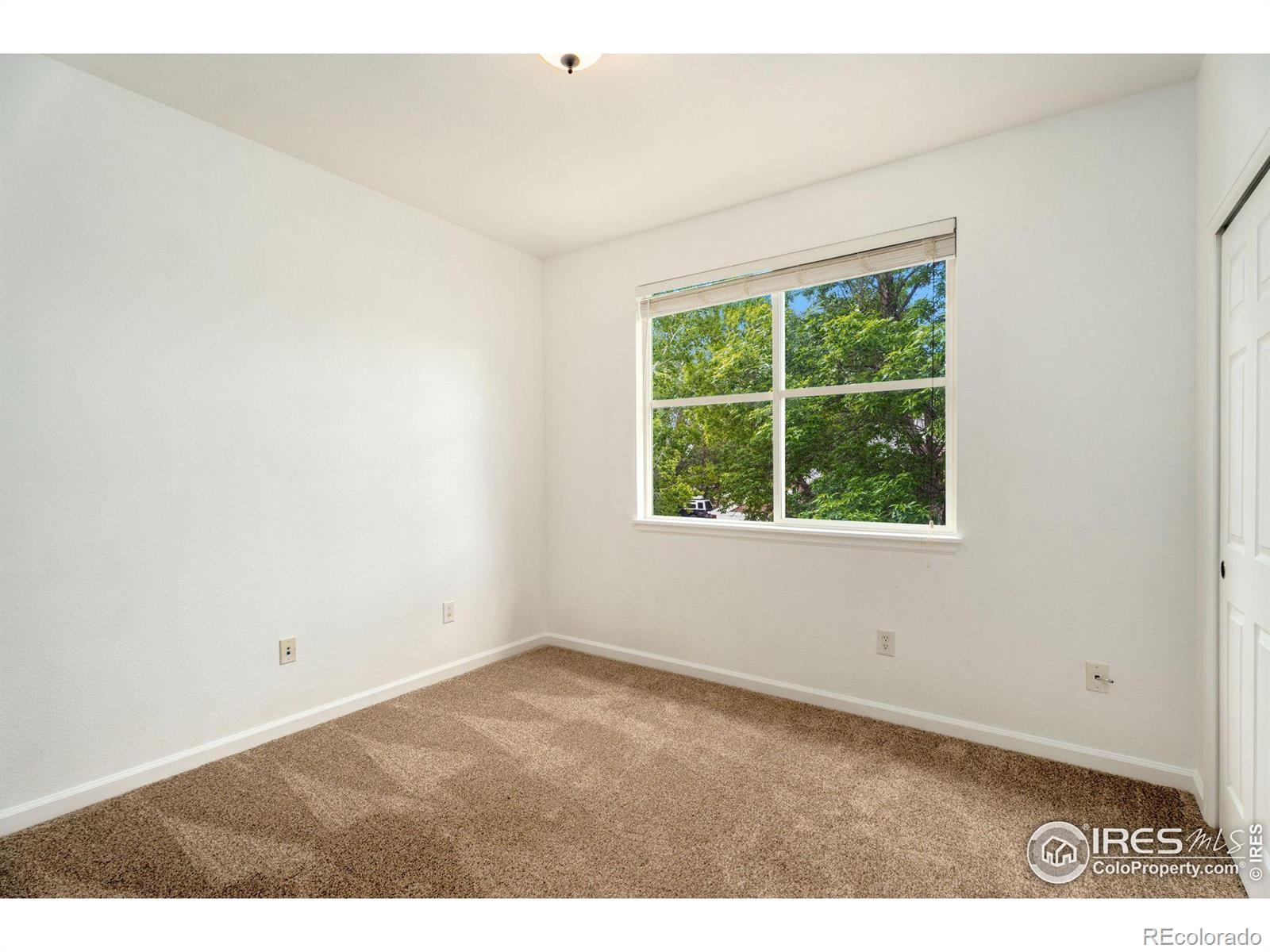 MLS Image #13 for 1805  grays peak drive,loveland, Colorado