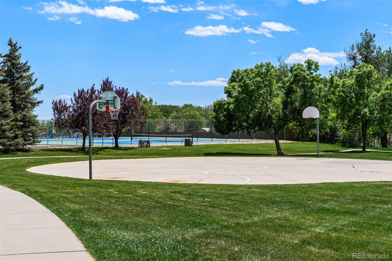 MLS Image #42 for 8463  oak street,arvada, Colorado