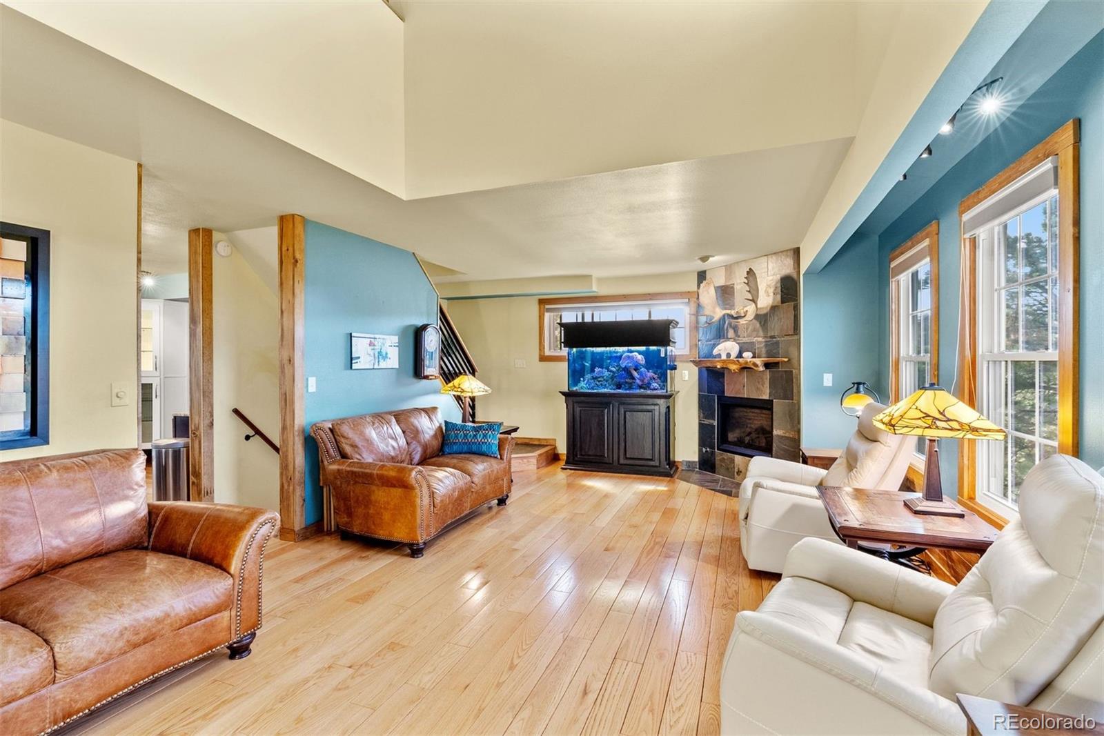 MLS Image #10 for 576  bluebird lane,bailey, Colorado