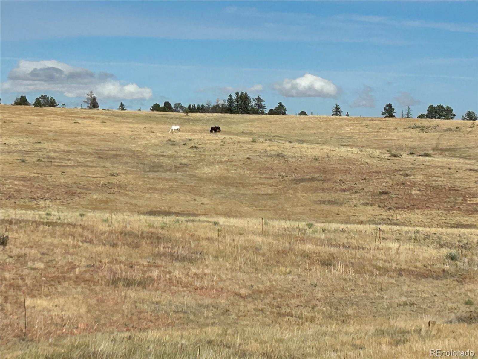 MLS Image #3 for 270  high meadows loop,elizabeth, Colorado