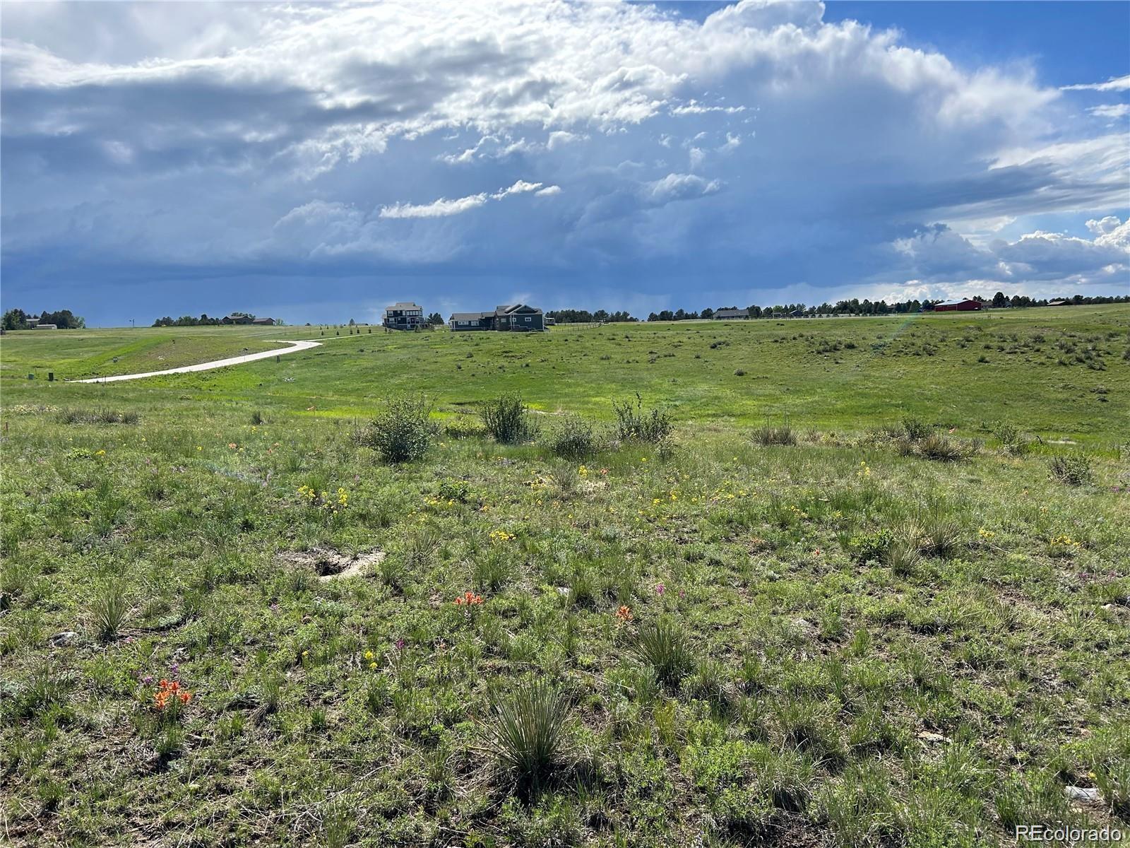 MLS Image #6 for 270  high meadows loop,elizabeth, Colorado
