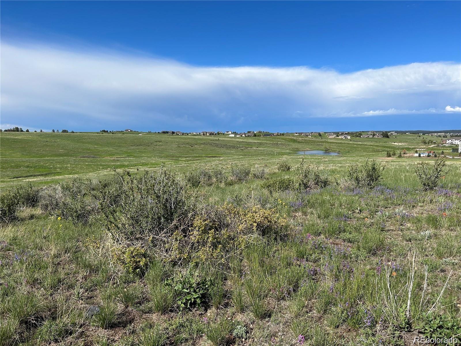 MLS Image #7 for 270  high meadows loop,elizabeth, Colorado