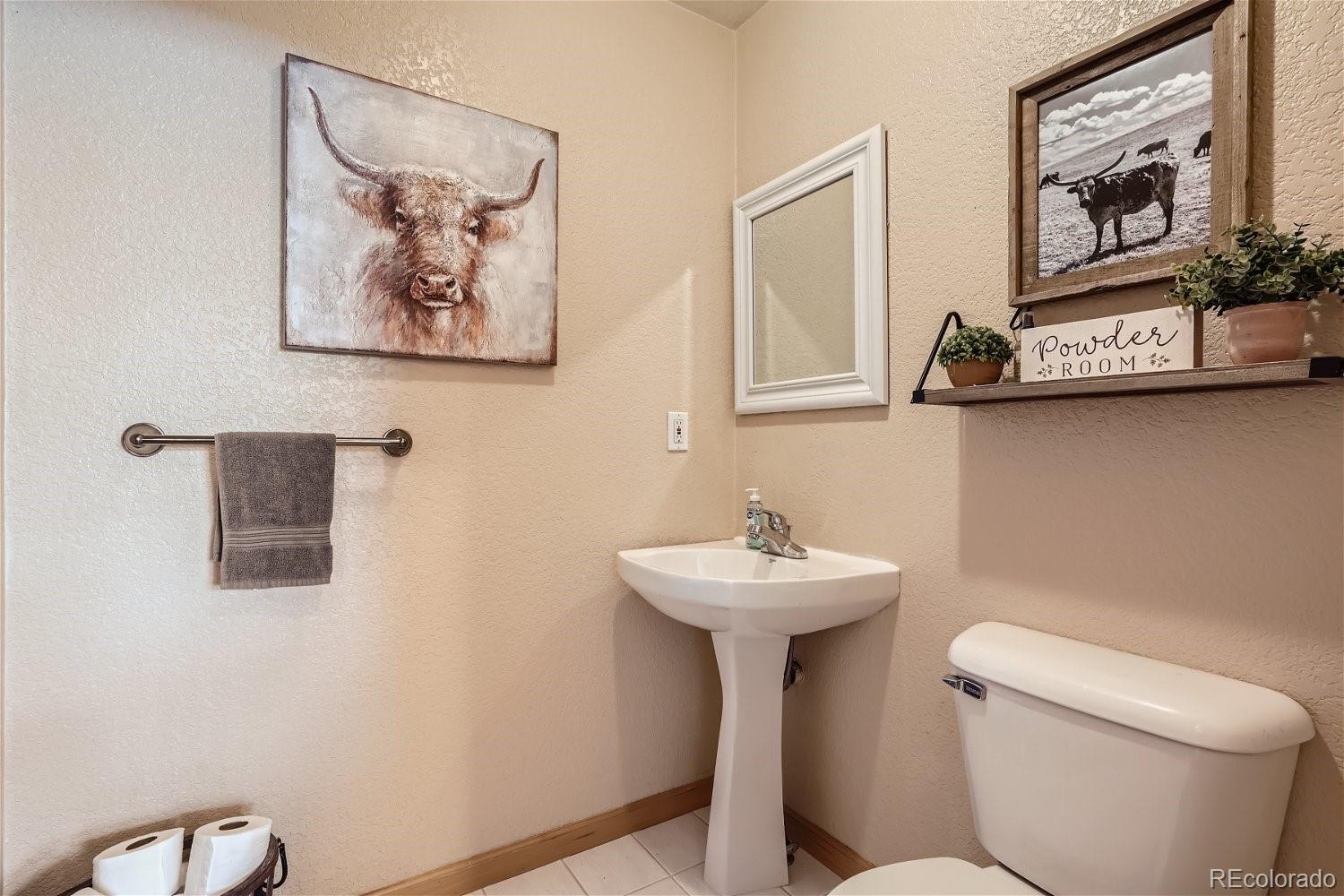 MLS Image #16 for 213 n circle drive,bailey, Colorado